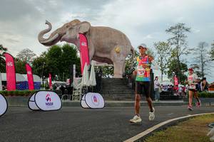 BIB: 
                            <button type="button" onclick="openModal(26528505)" class="btn btn-primary btn-sm float-right btn-popup" data-toggle="modal" data-target=".modal-high-quality">
                        <i class="fas fa-shopping-cart"></i> Add to Cart
                    </button>
                                            <button type="button" onclick="isThisMe(26528505, true)" class="btn btn-success btn-sm float-right btn-popup btn-isme hidden" data-toggle="tooltip" data-placement="bottom" title="นี่คือรูปของคุณใช่ไหม คลิกที่นี่เพื่อเอาเข้าอัลบั้ม">
                        <i class="fas fa-plus"></i> Add to album
                    </button>
                    <button type="button" onclick="isThisMe(26528505, false)" class="btn btn-warning btn-sm float-right btn-popup btn-isnotme hidden">
                        <i class="fas fa-ban"></i> Remove from album
                    </button>